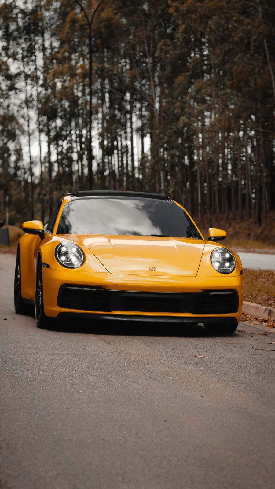 Automotivo